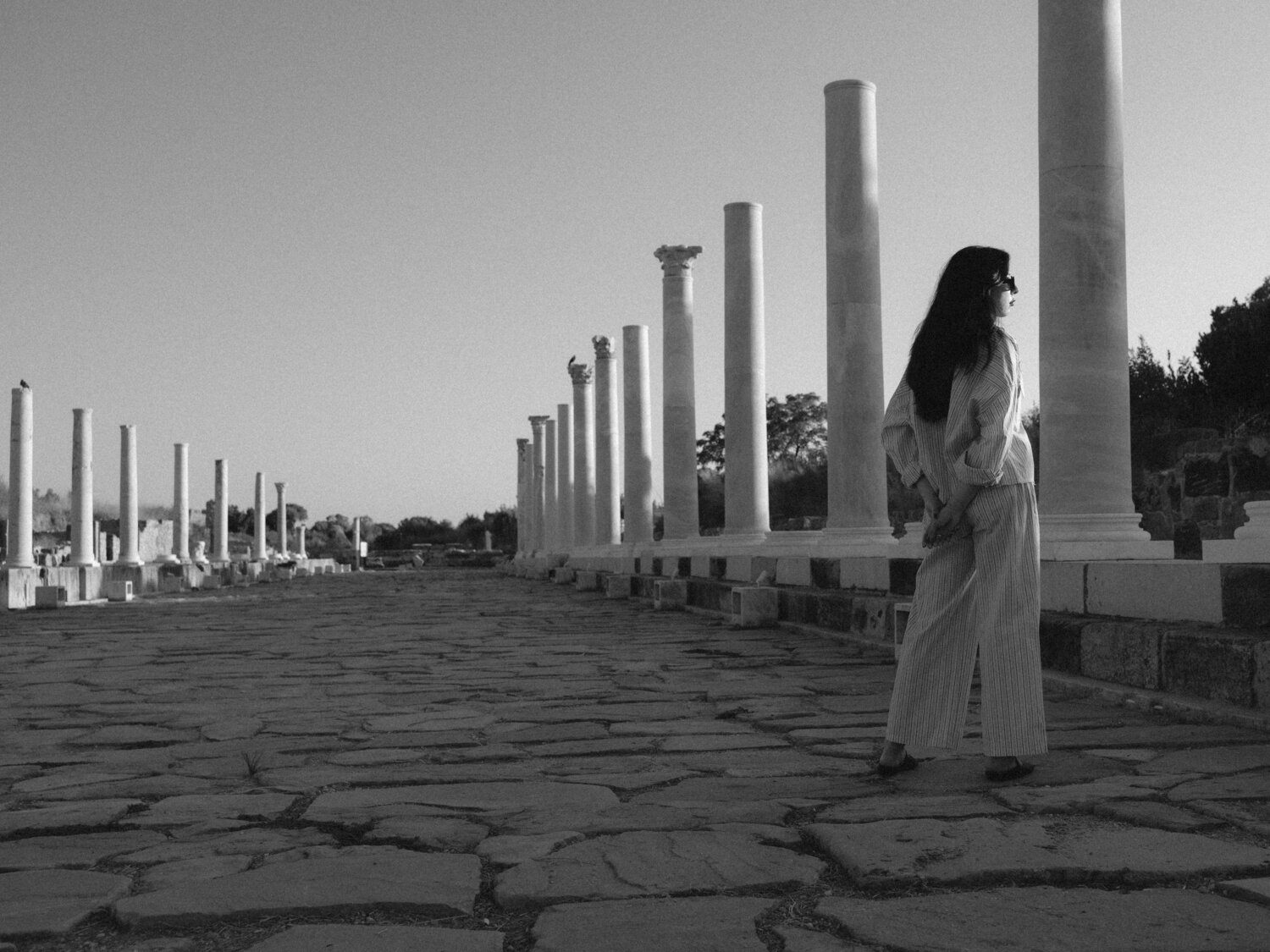 Photo #14100973