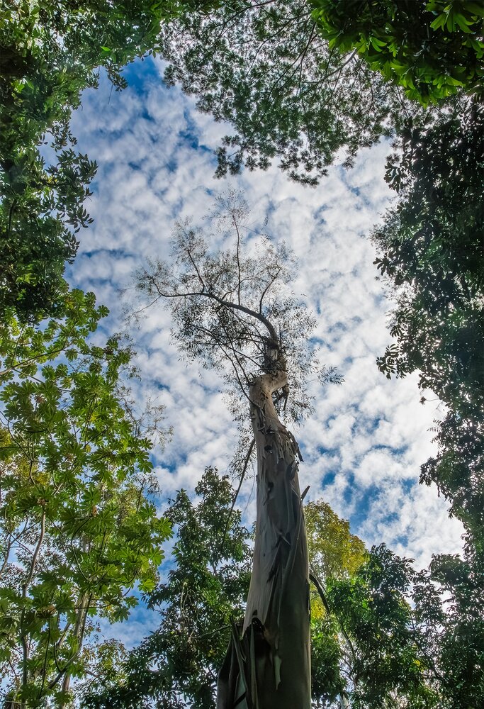 Photograph by Yainyt Alcazar Delgado