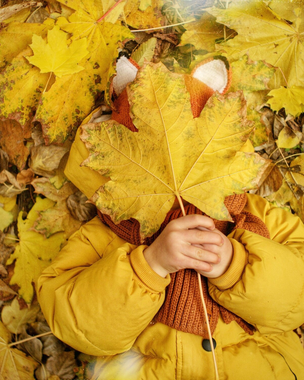 Photo #14101023