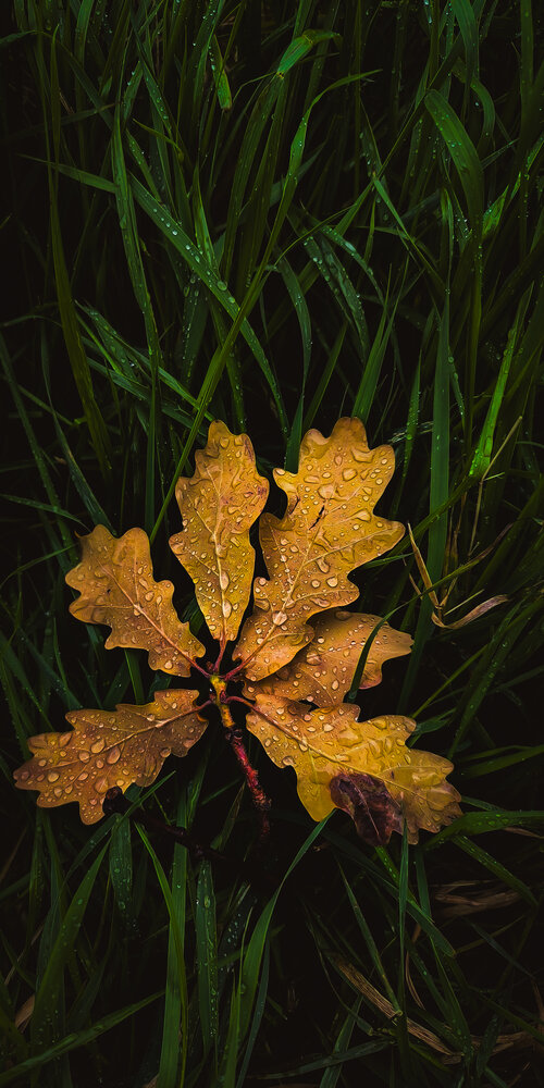 Photograph by Наталья Белослудцева