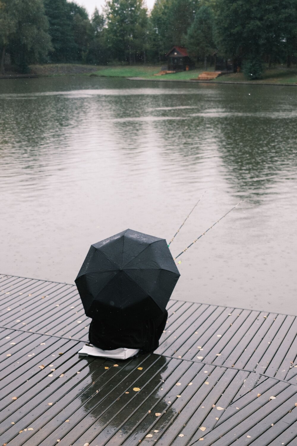 Photo #14101147