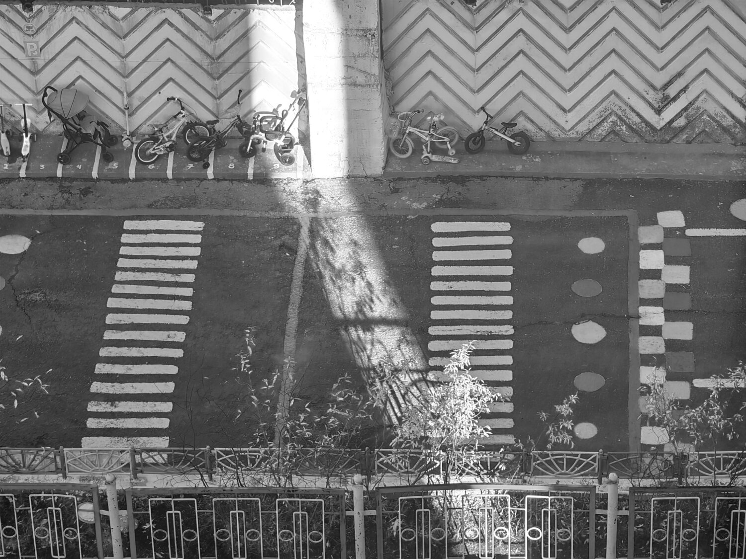 Photo #14101226