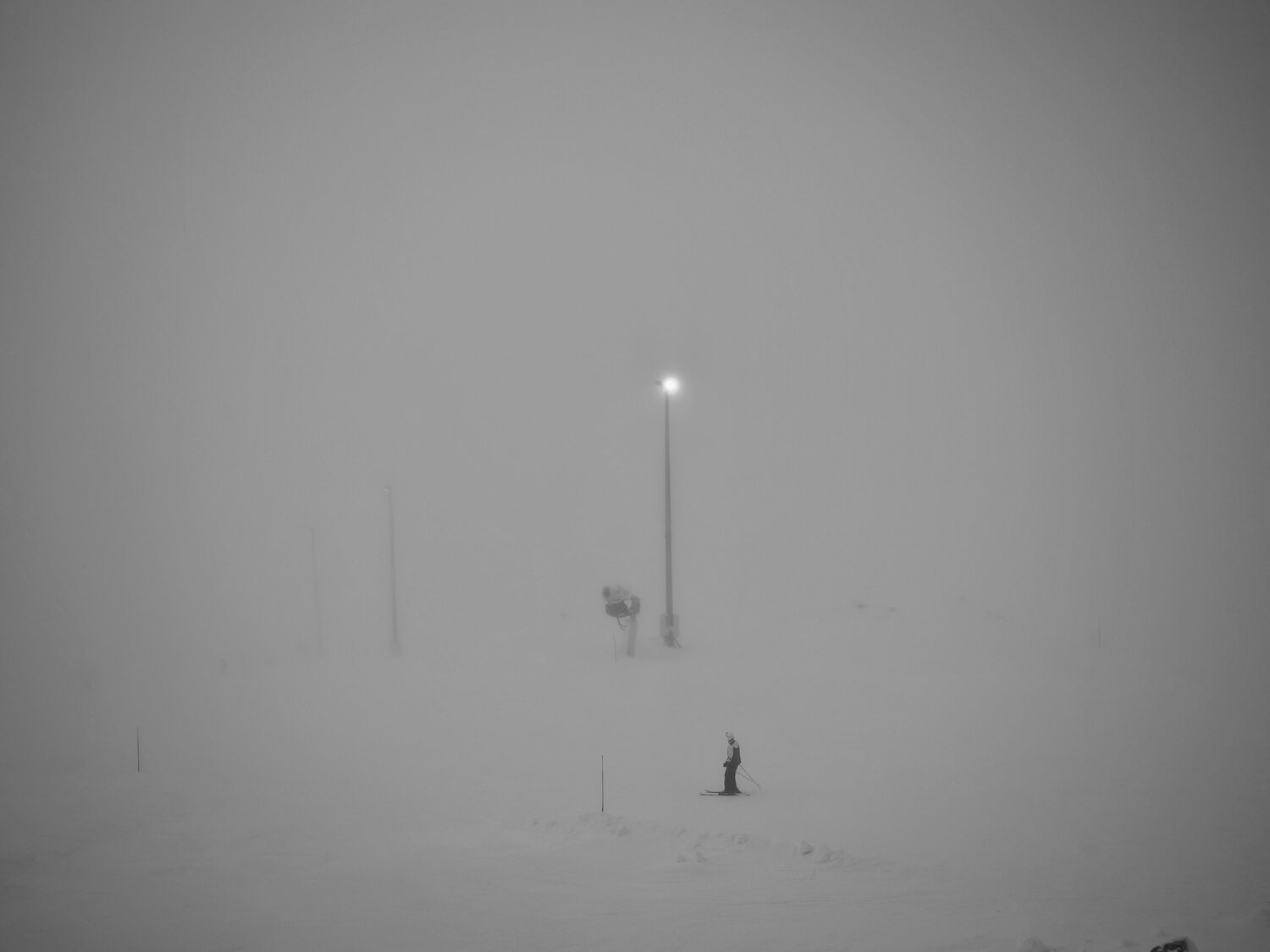 Photo #14101237