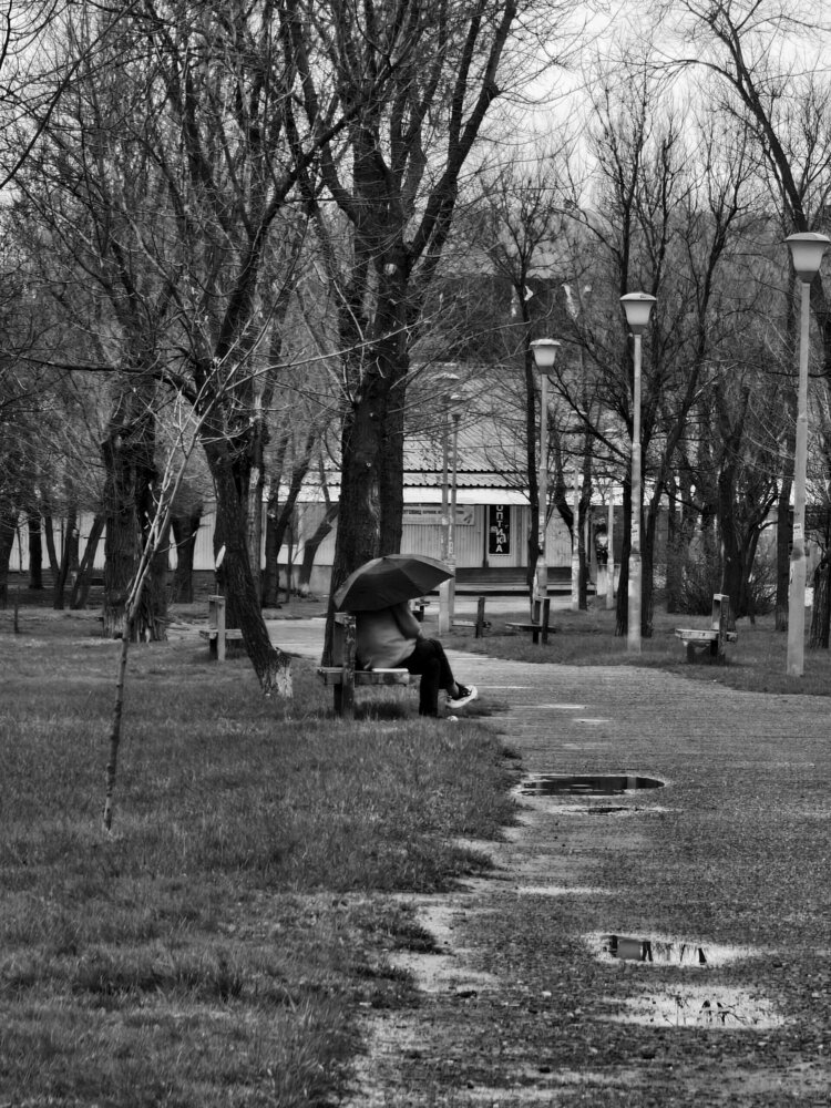 Photograph by Елена Оборник