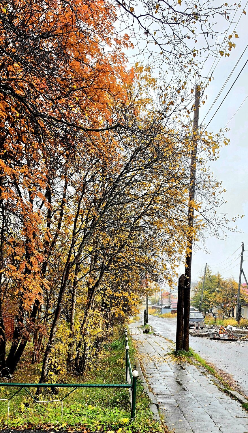 Photo #14101362