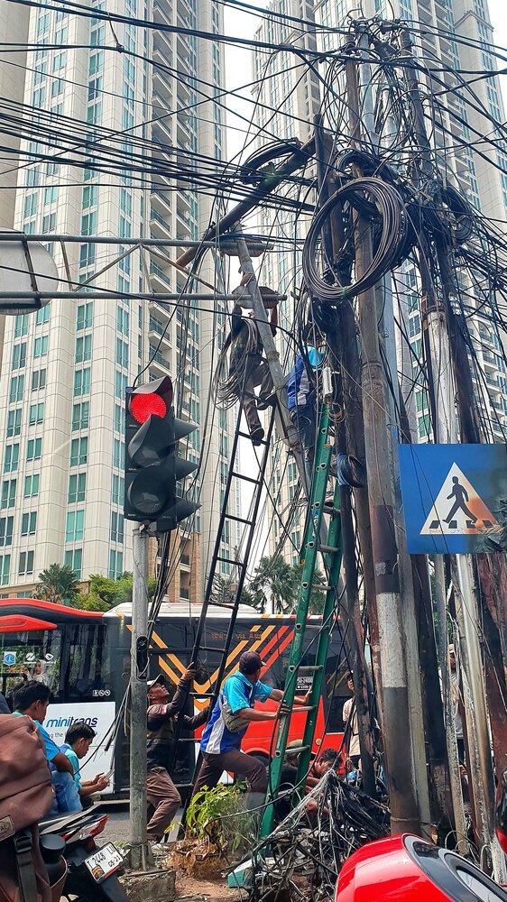 Tangled Urban Lives