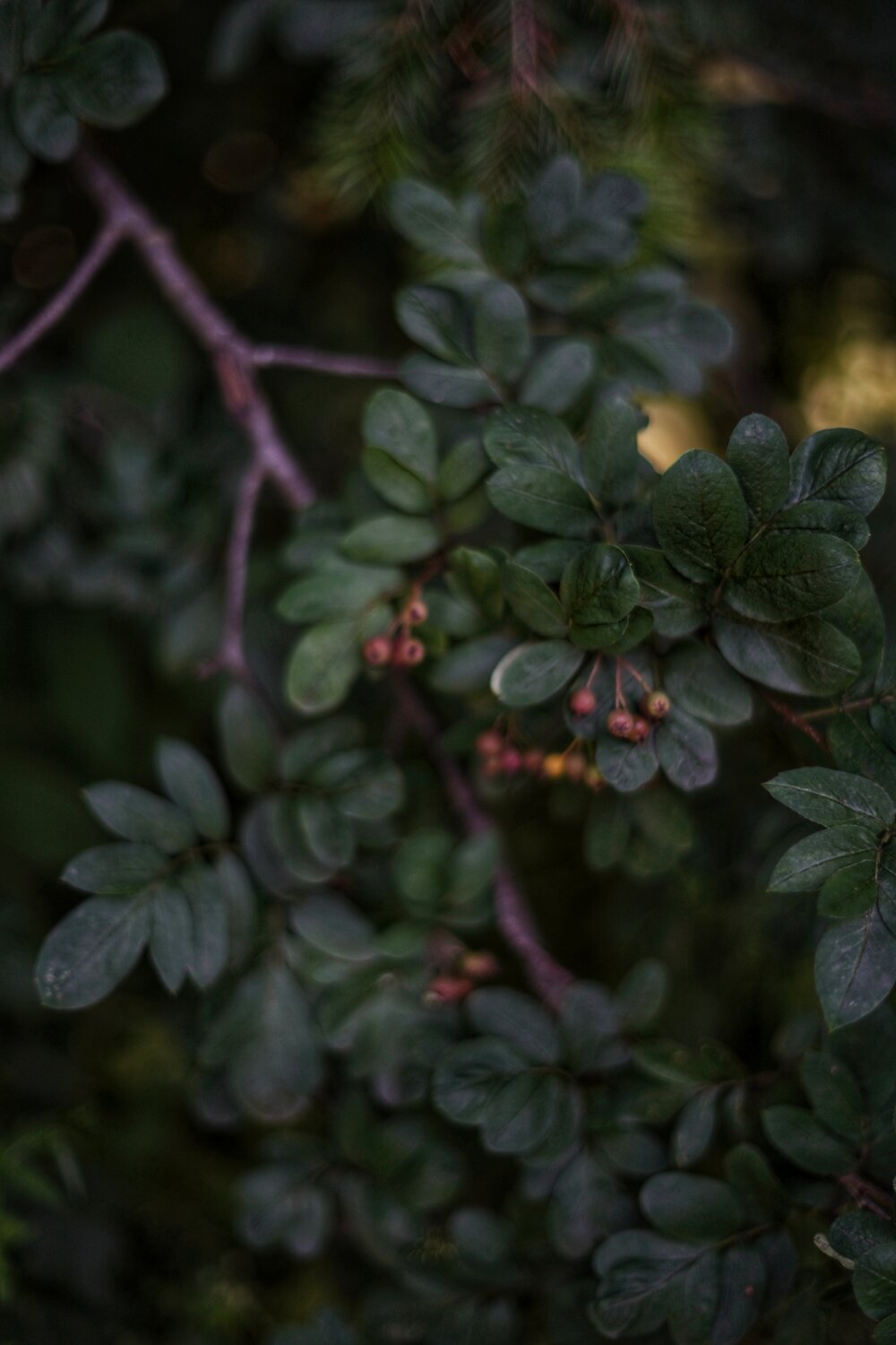 Photo #14101419