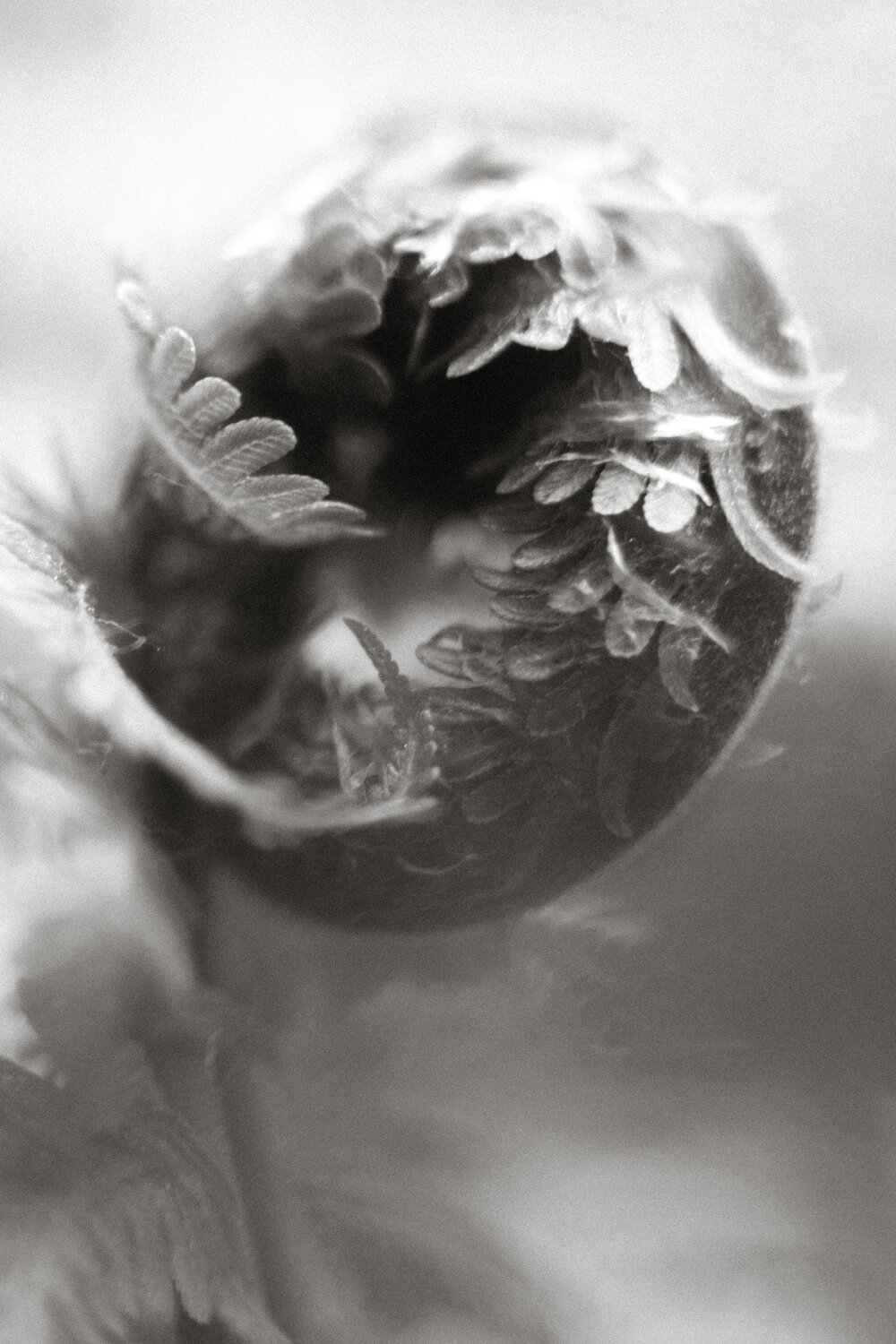 Photo #14101430