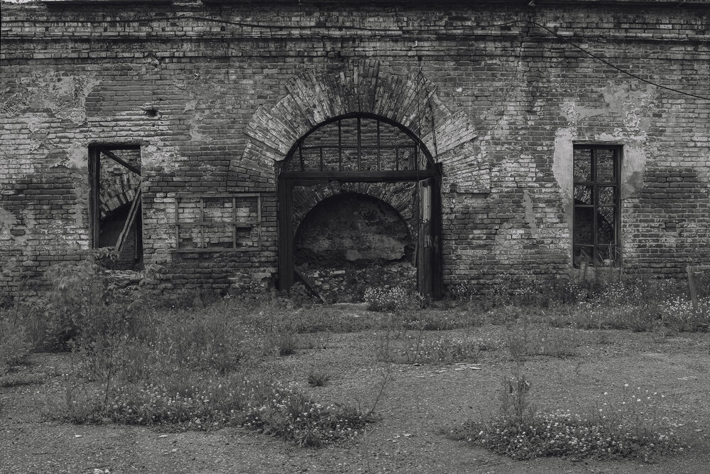 Photograph by Ольга Новикова