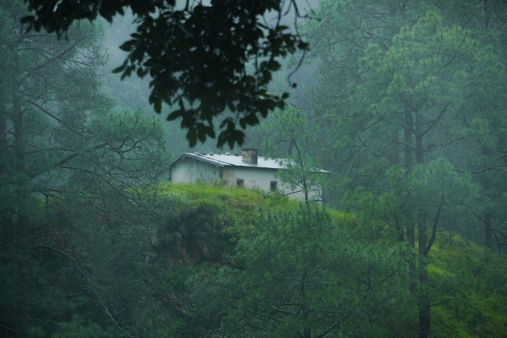 Sanctuary in the Mist.