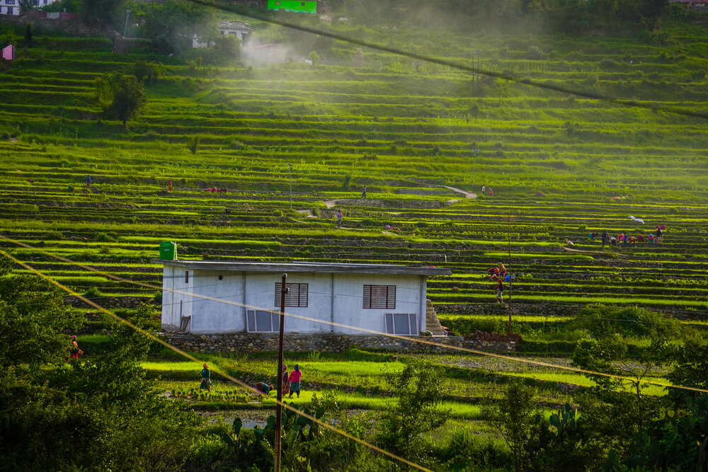 Nestled in the Terraces .