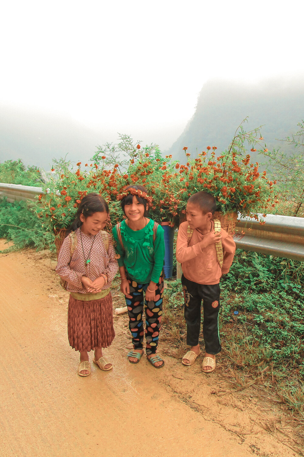 Photo #14101664
