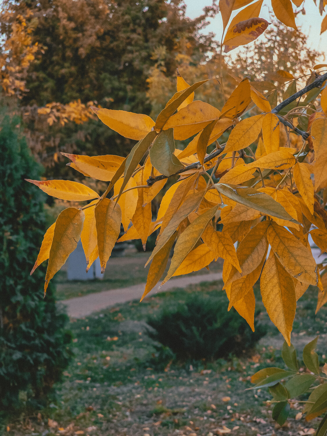 Фотография #14101742