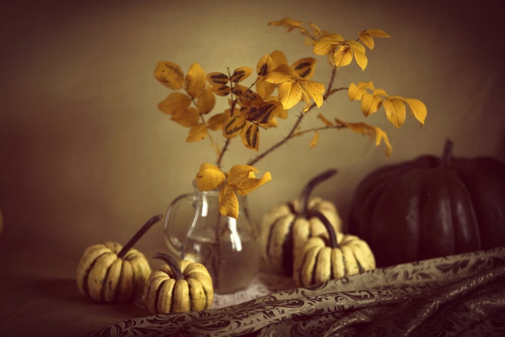 Photograph by Ольга