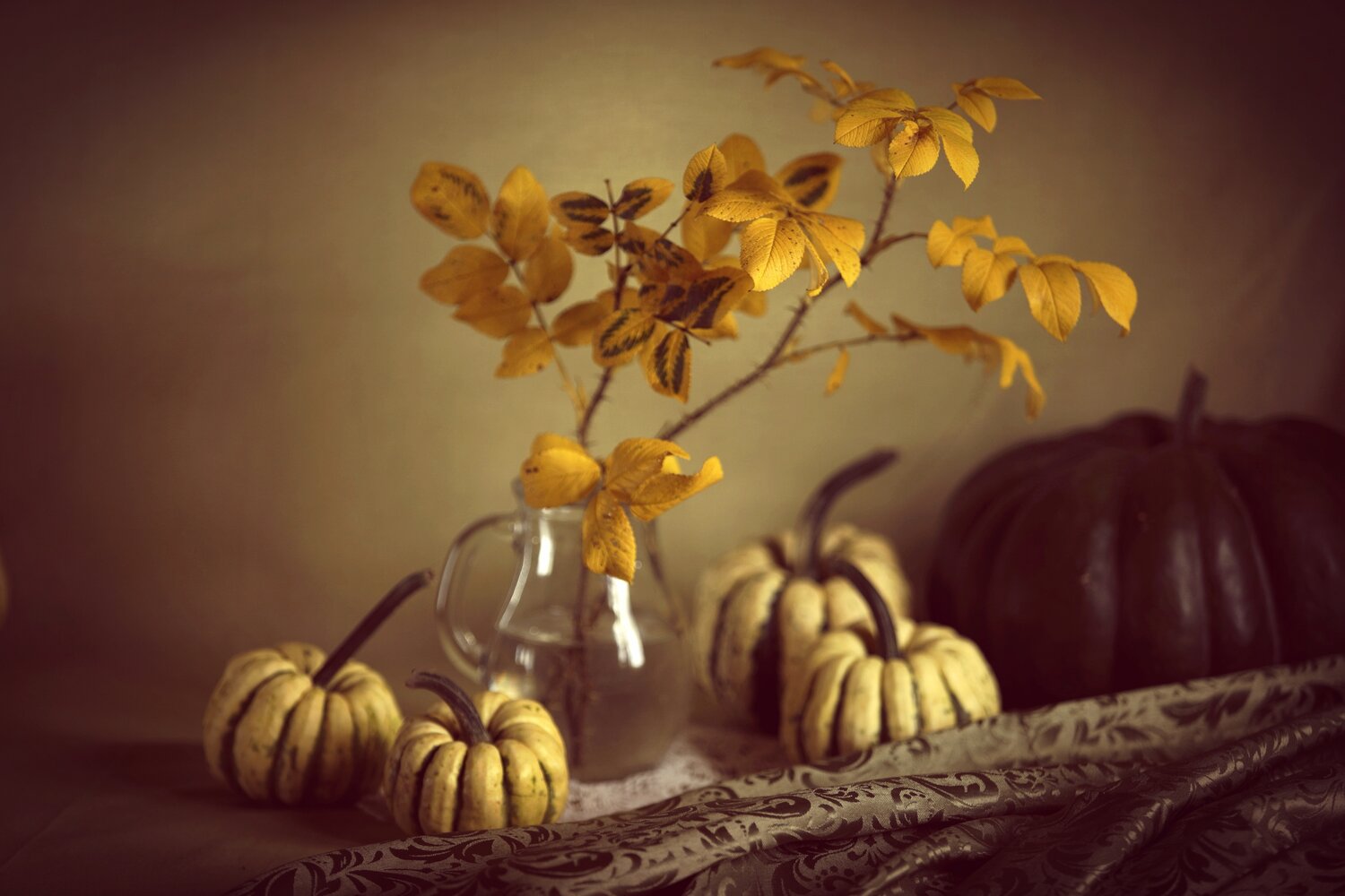 Photo #14101750