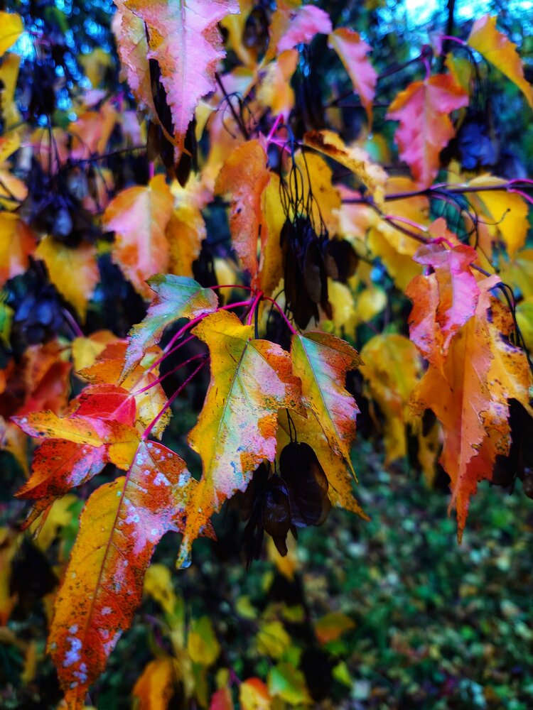 Фотография #14101789