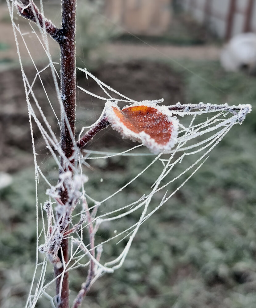 Photograph by Виталий Петров