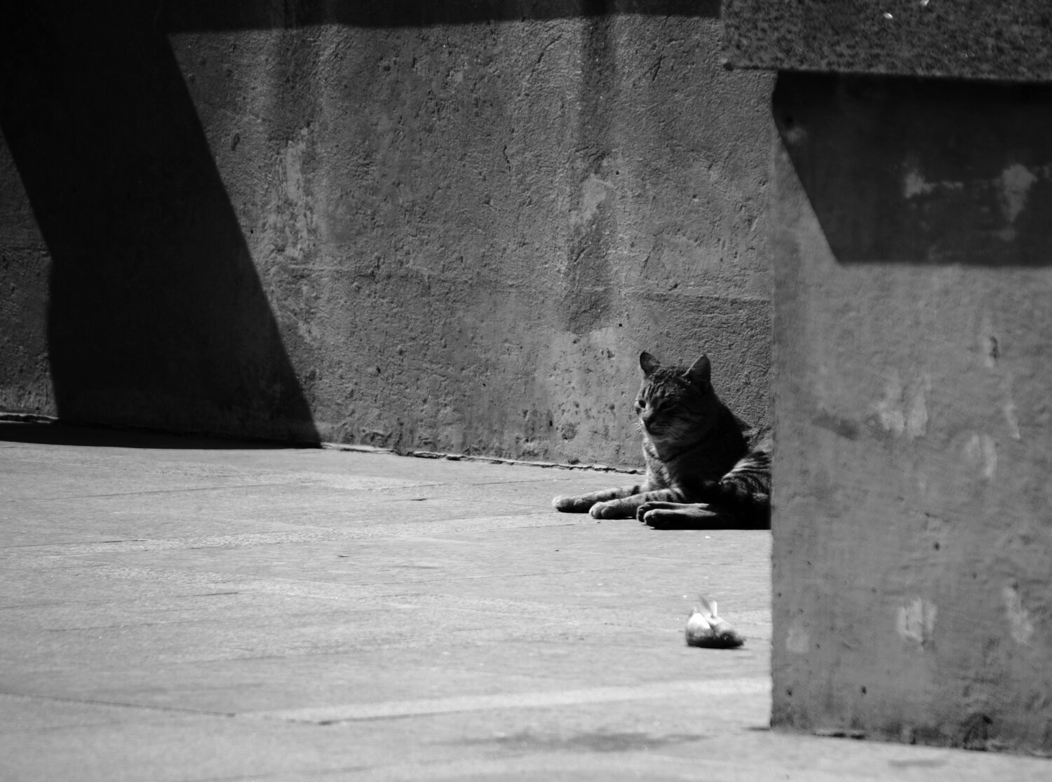Photo #14101805