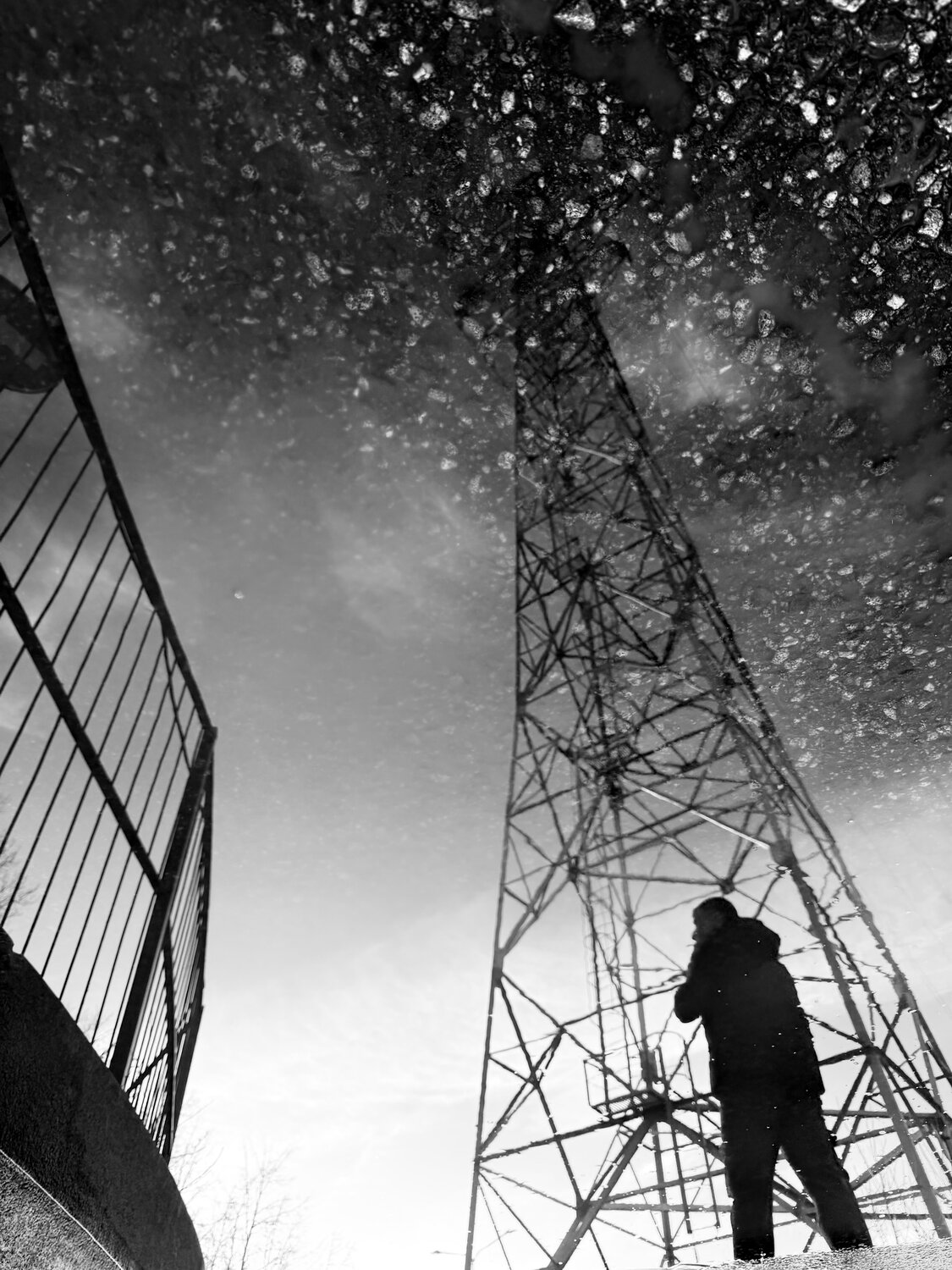 Photo #14101939