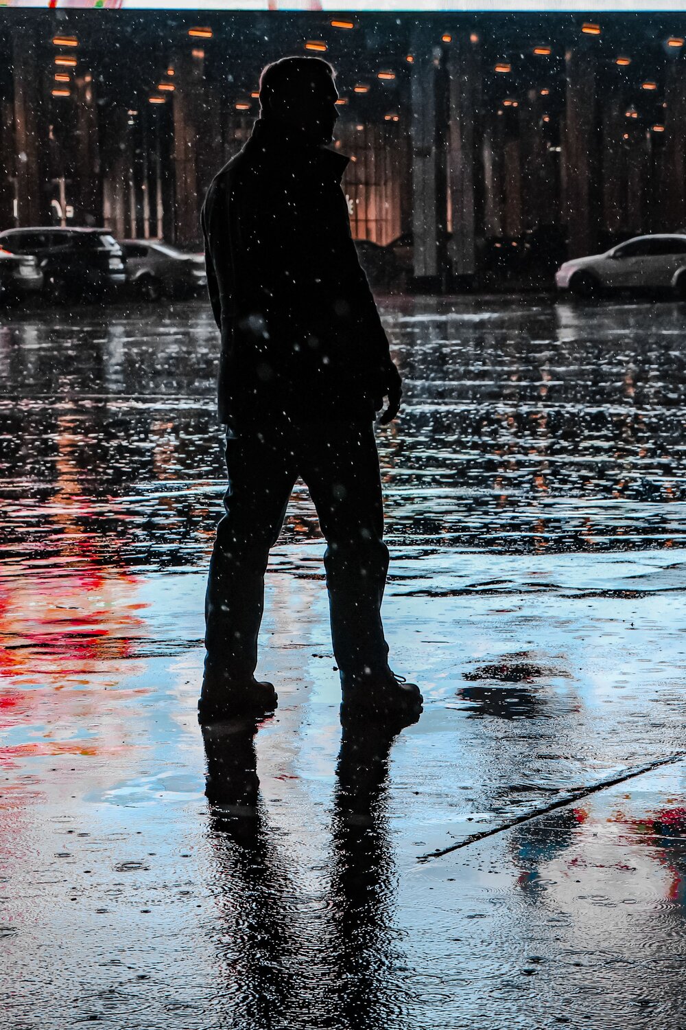 Photo #14101952