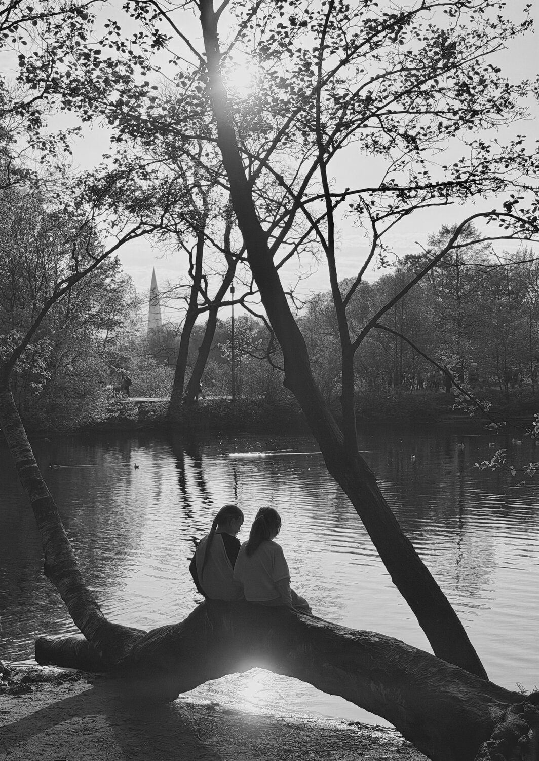 Photo #14101956