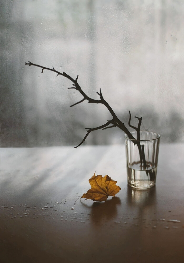 Photograph by Liliya Rodionova
