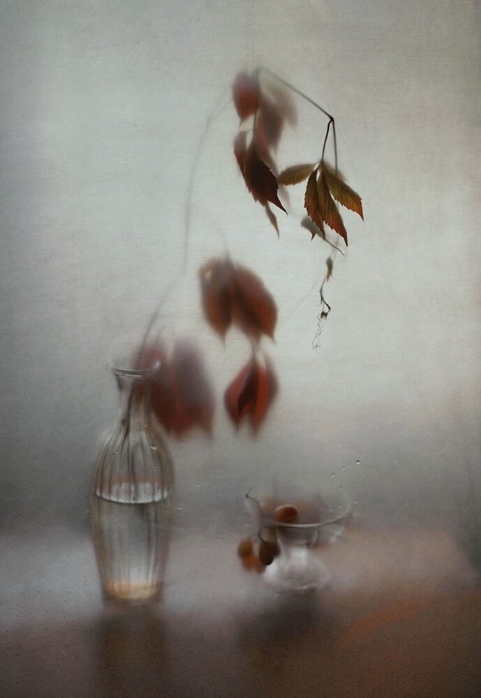 Photograph by Liliya Rodionova