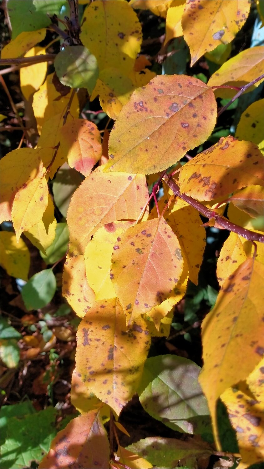 Photo #14102028