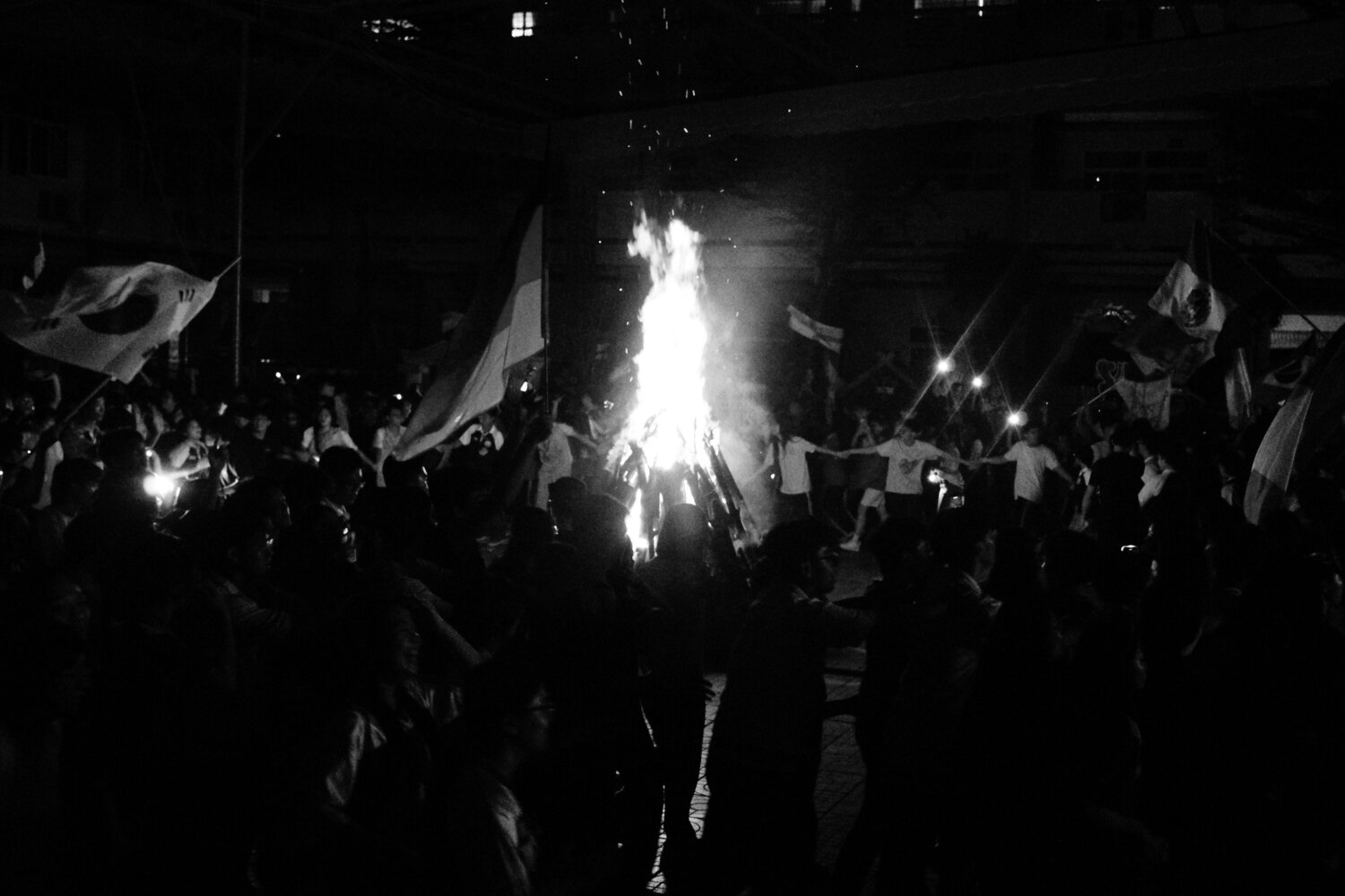Photo #14102032