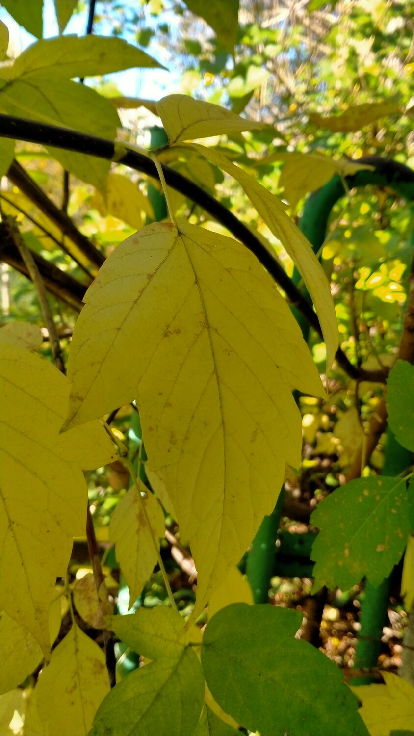 Photo #14102034