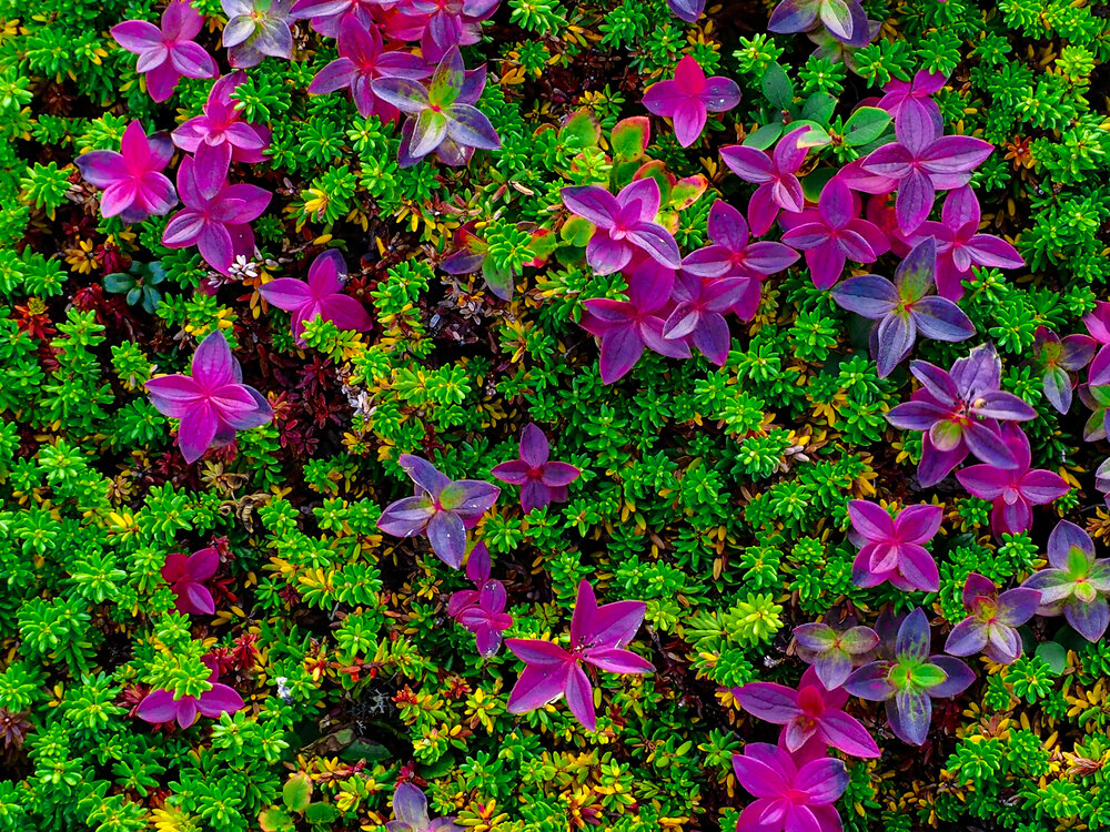 Photograph by Дмитрий Потапов
