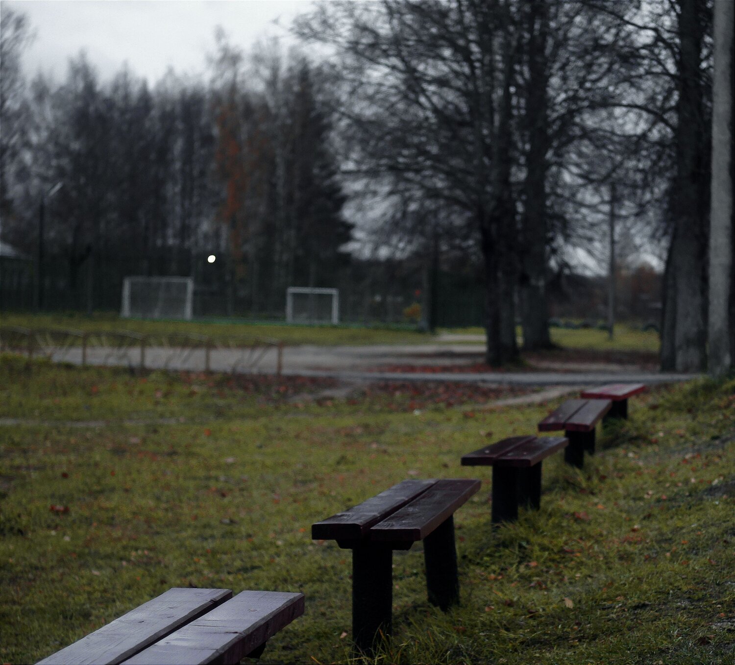 Photo #14102118