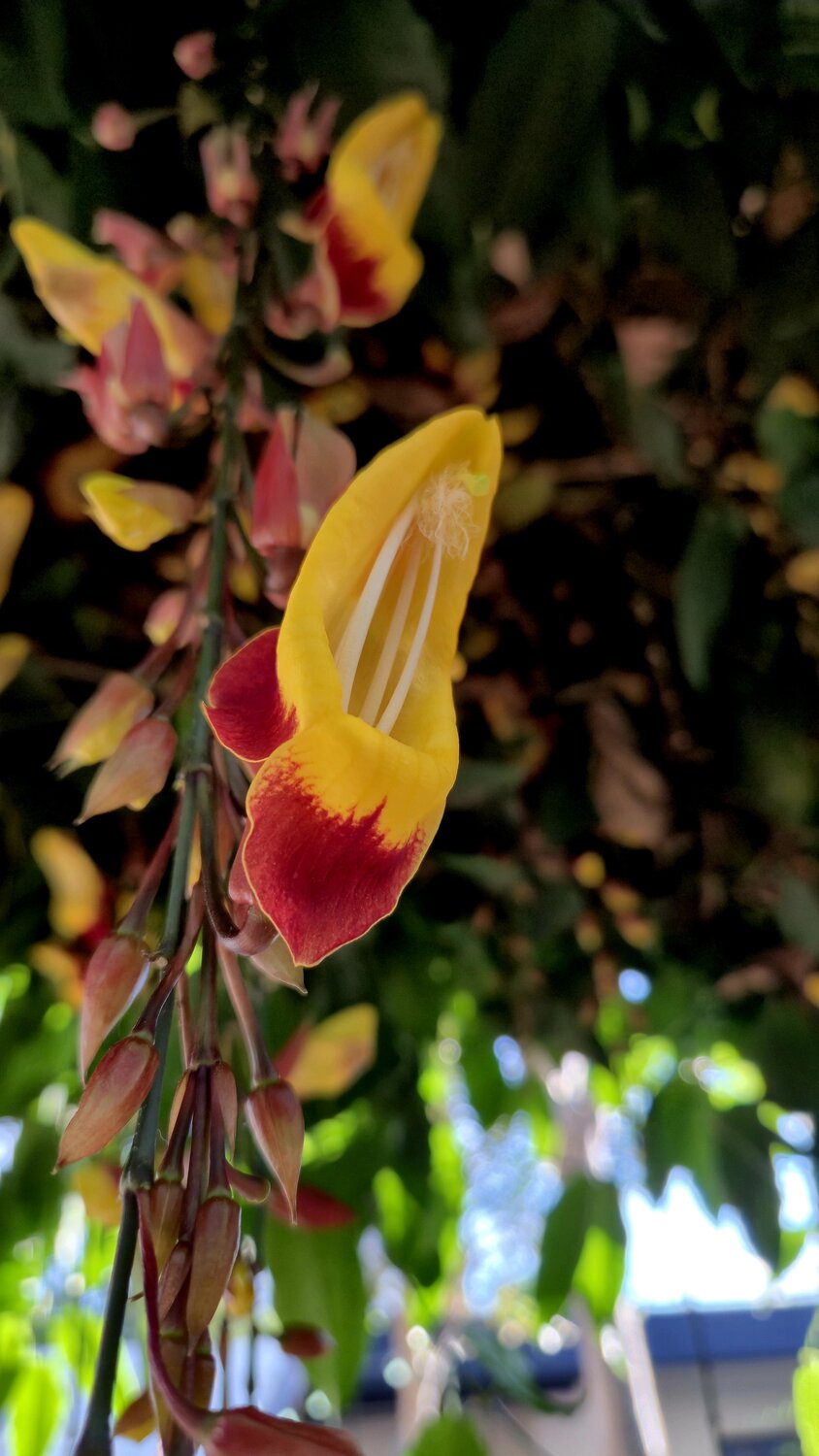 Photo #14102284