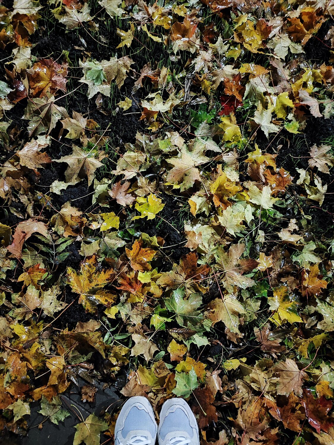 Photo #14102292