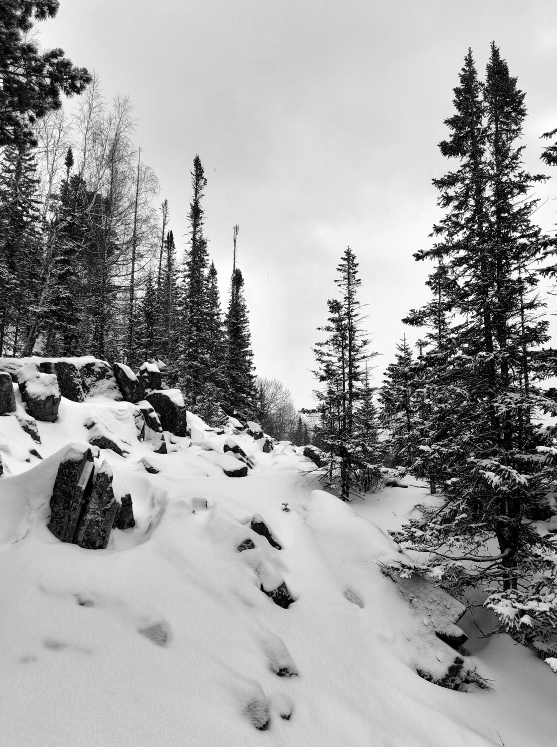 Photo #14102346