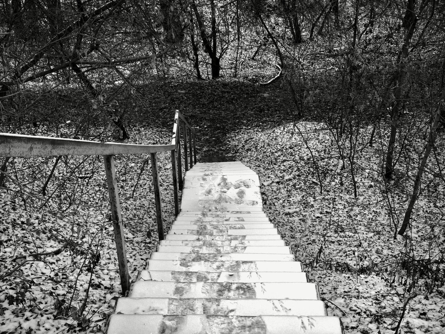 Photo #14102348