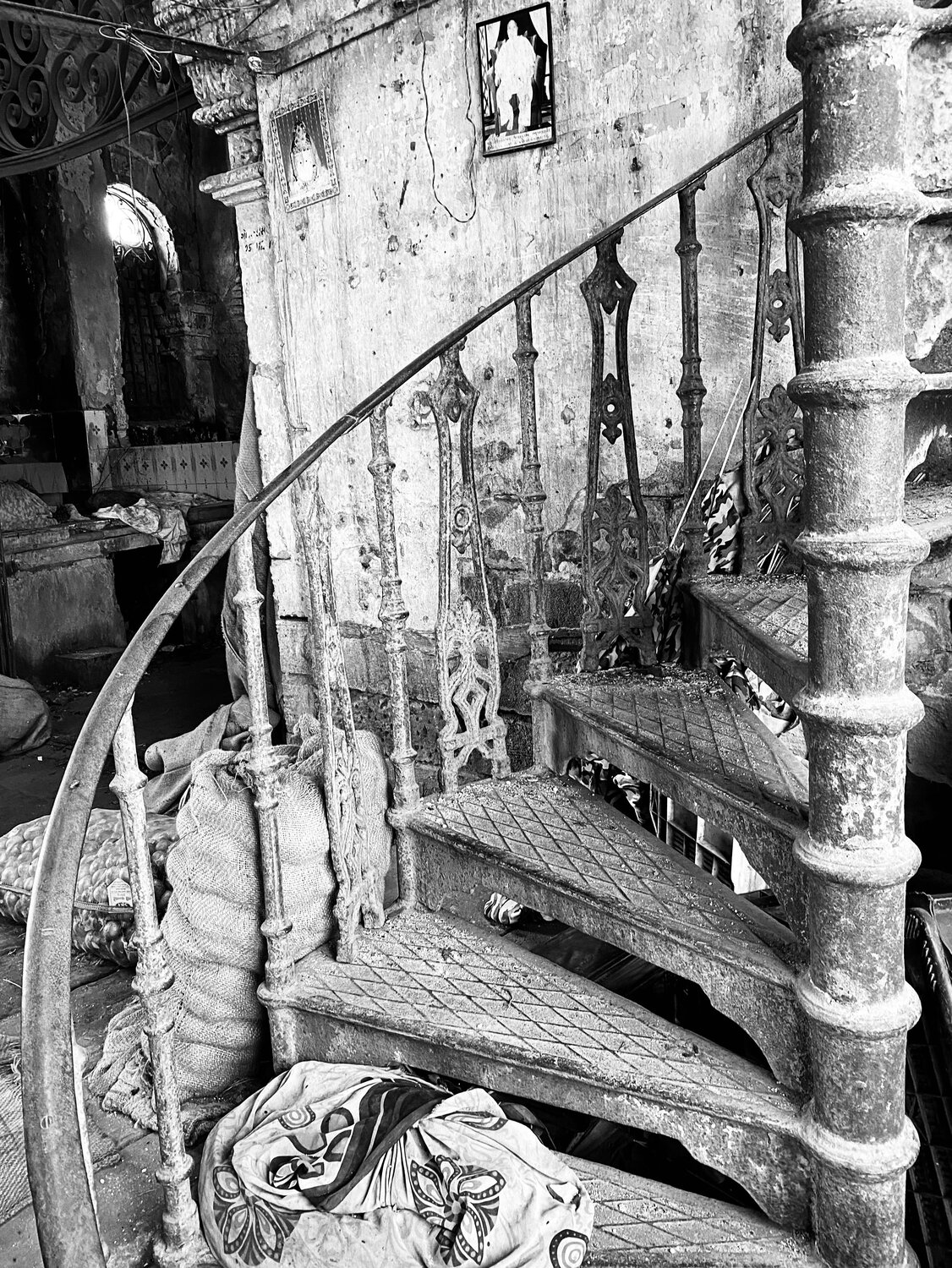 Photo #14102370