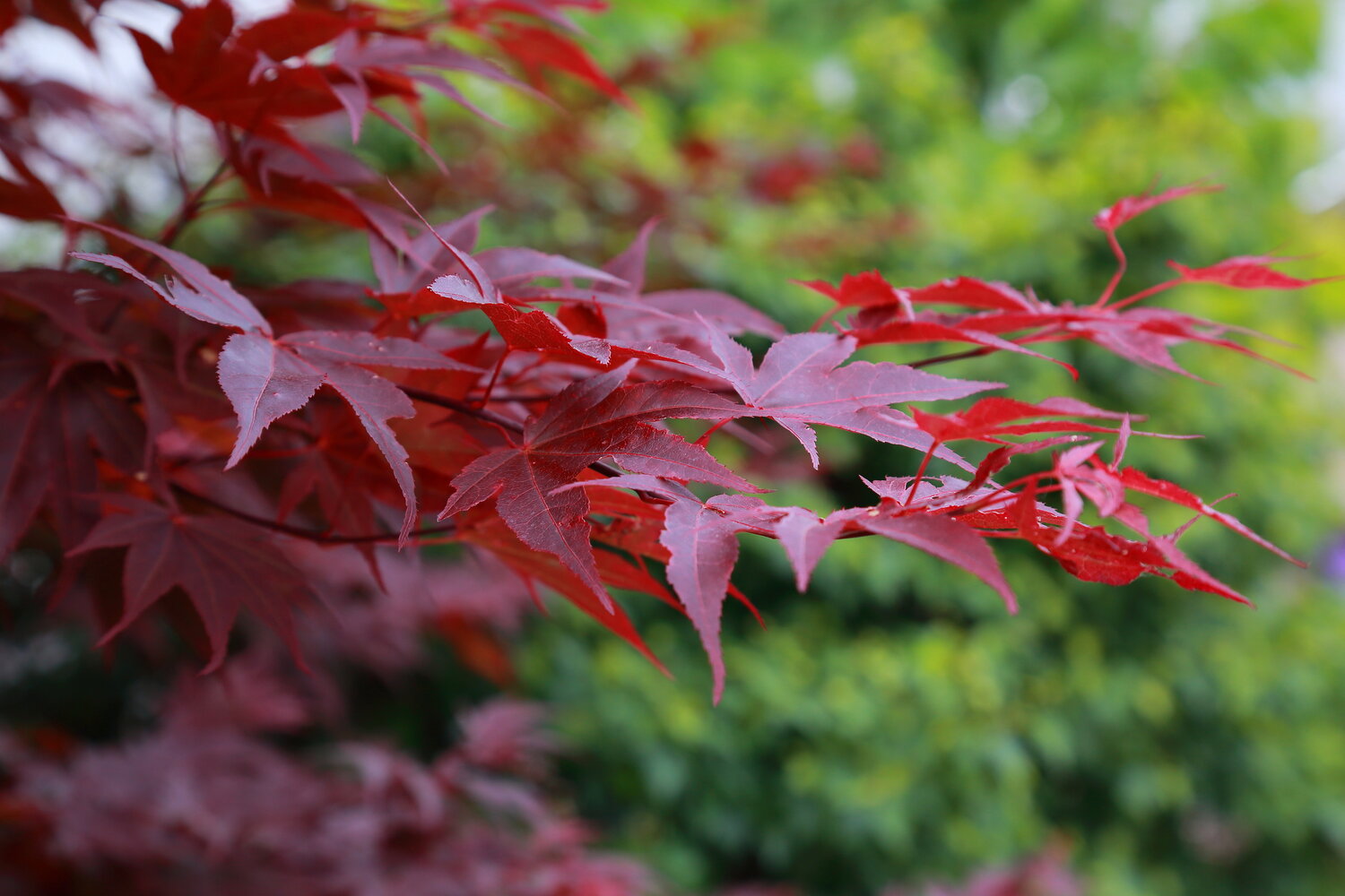 Photo #14102394