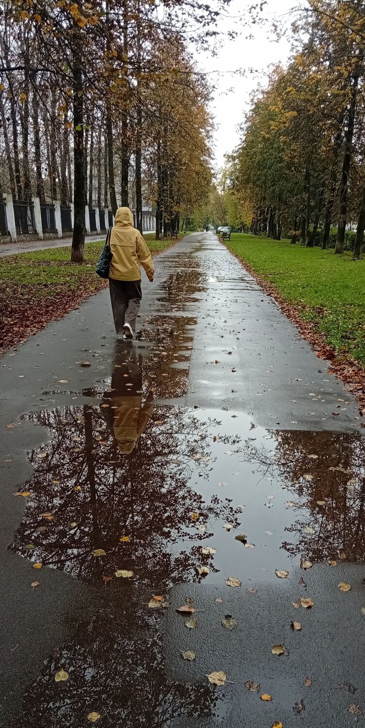 Photo #14102504