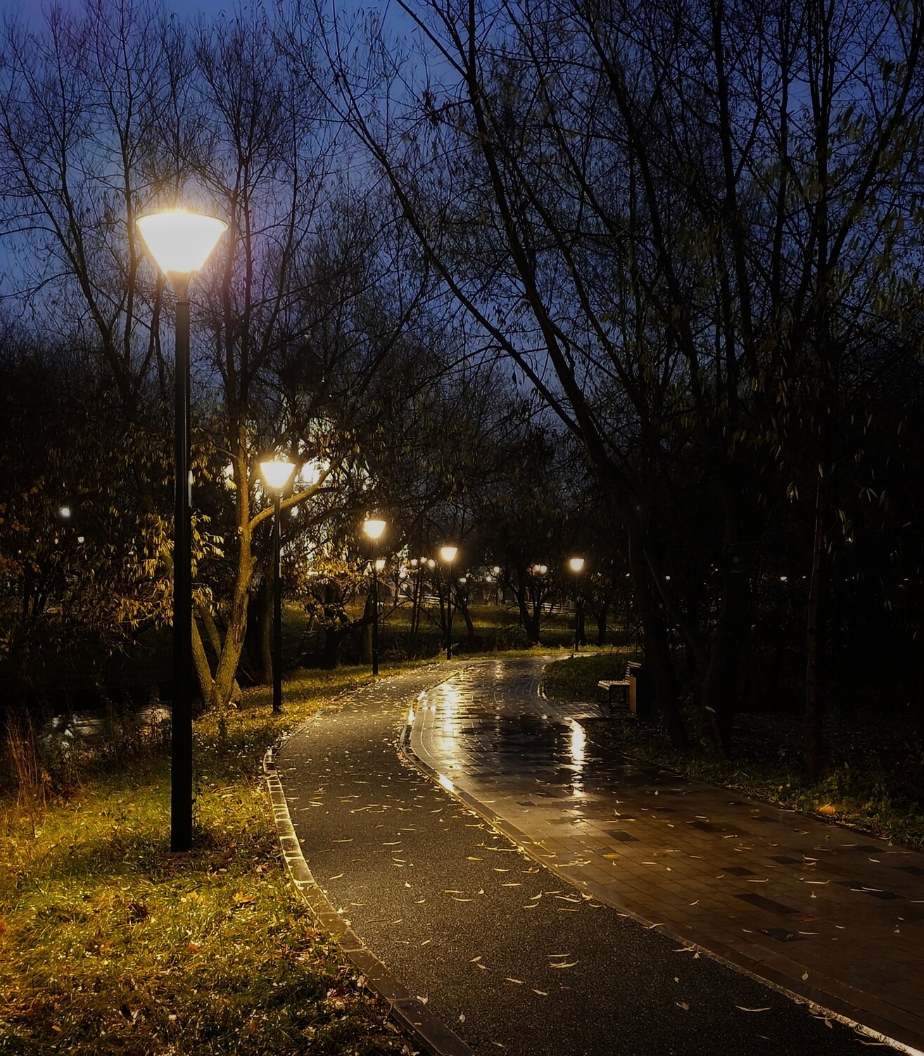 Photo #14102507
