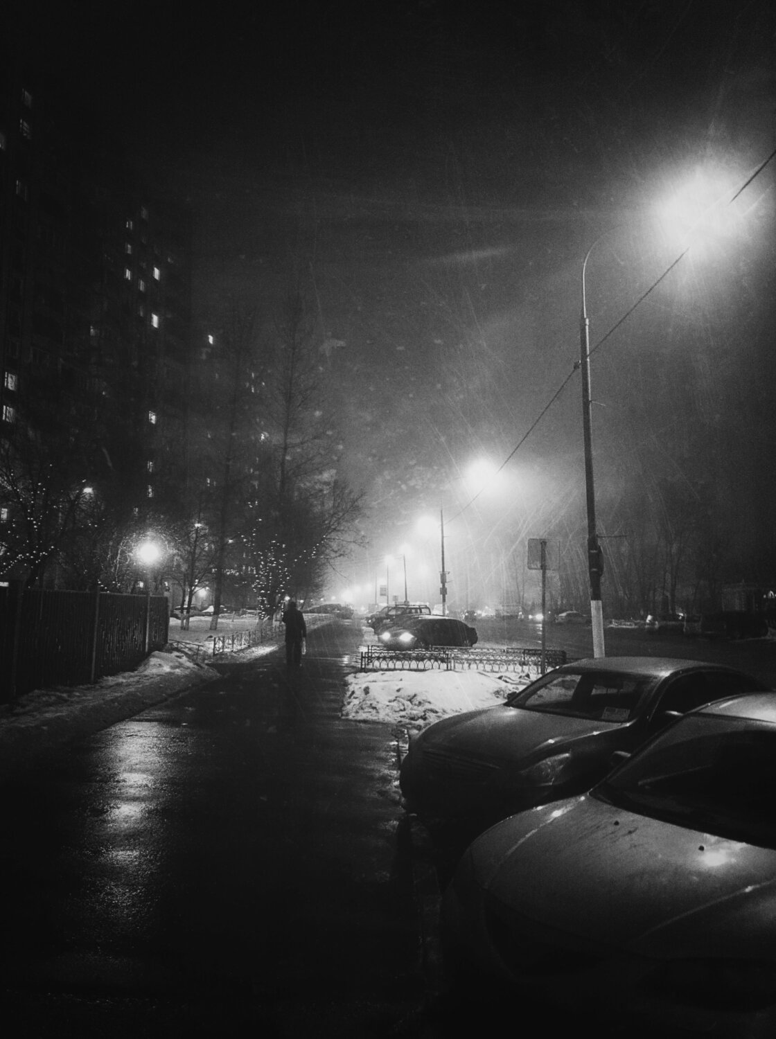 Photo #14102511