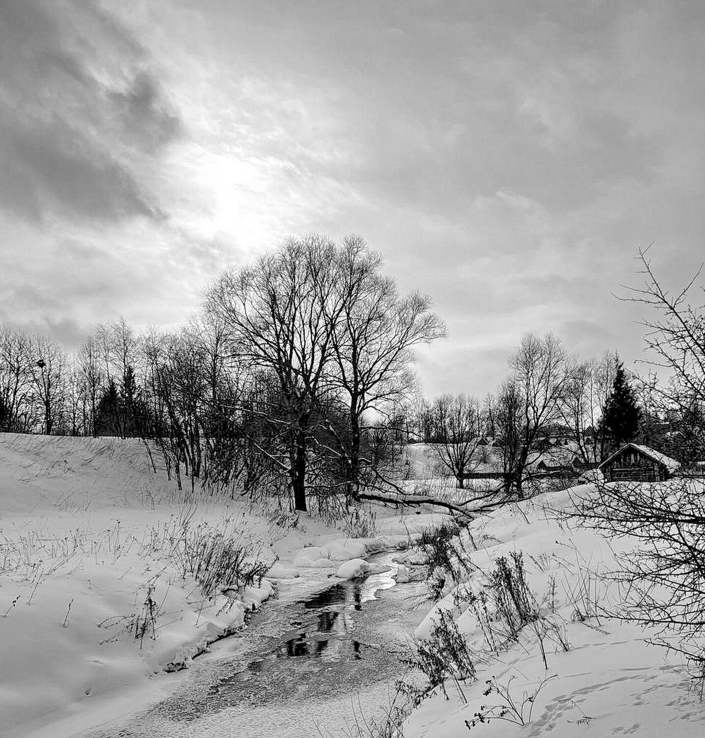 Photo #14102514