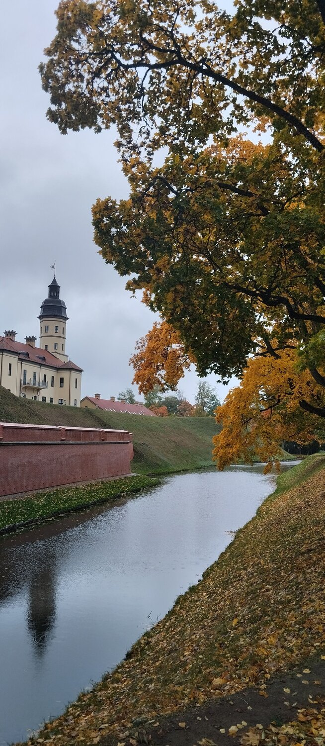 Photo #14102539