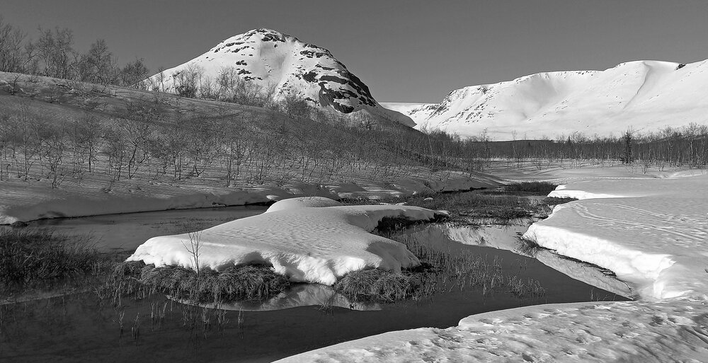 Photograph by Александр Кожевников