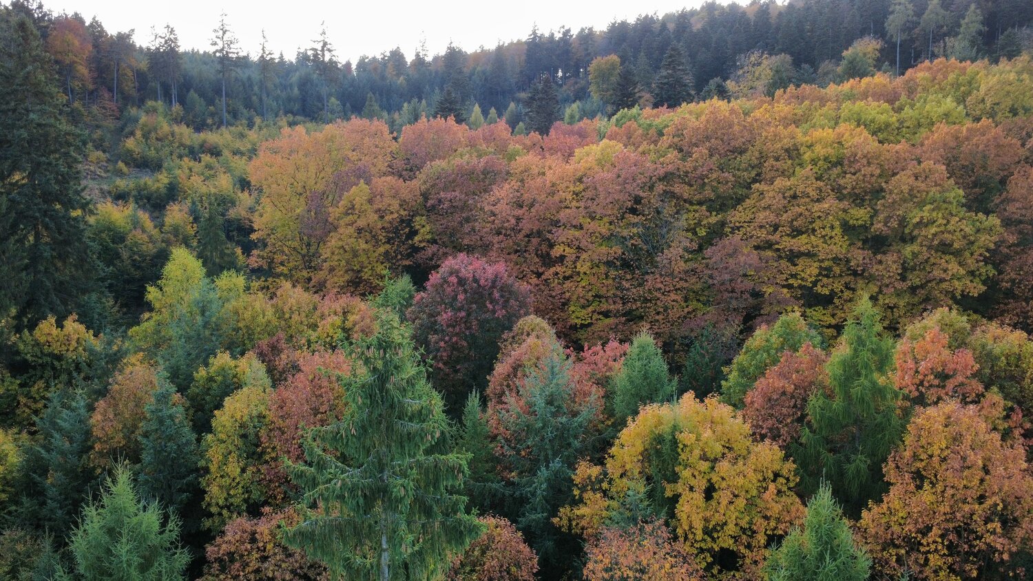 Photo #14102603