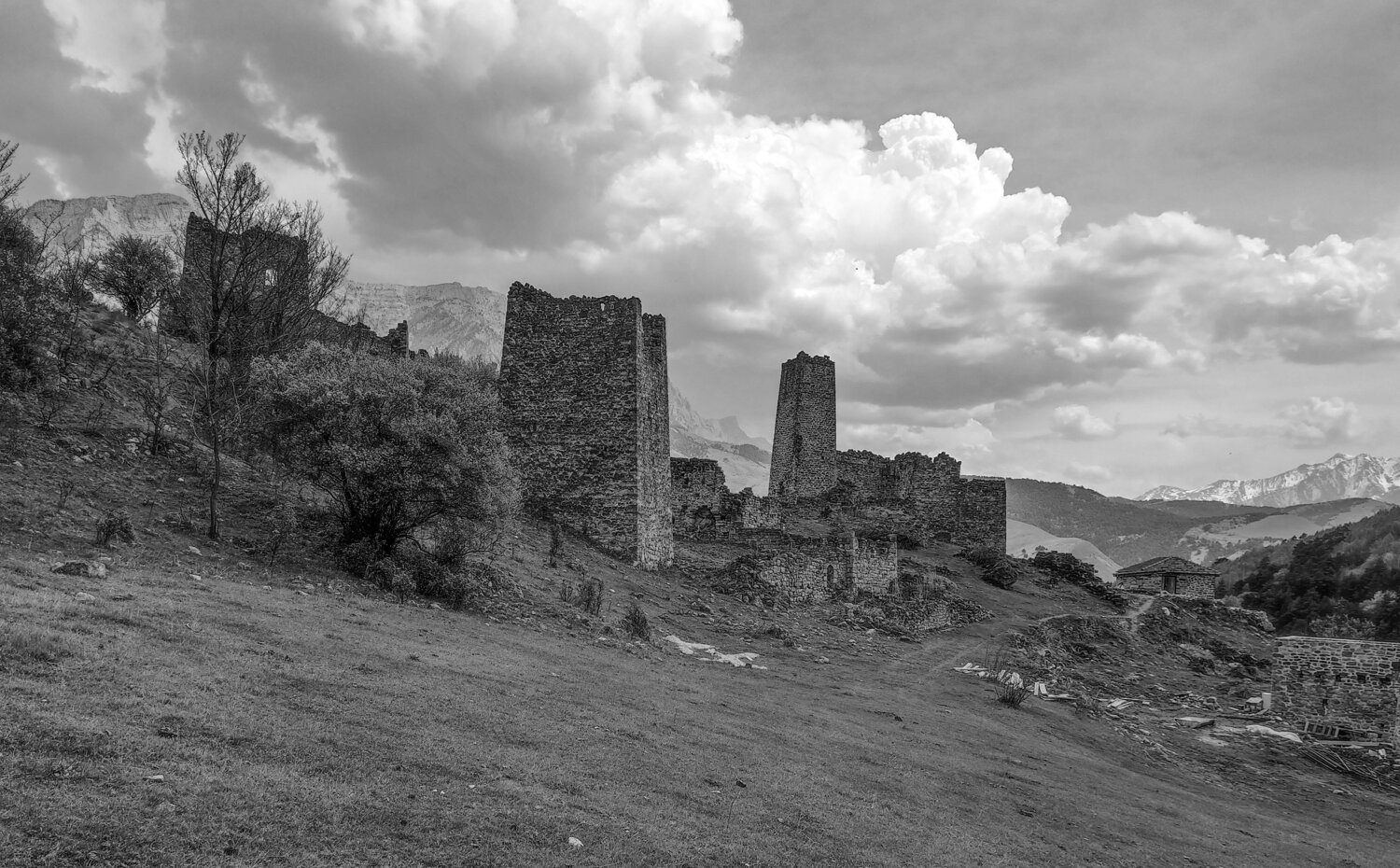 Photo #14102666
