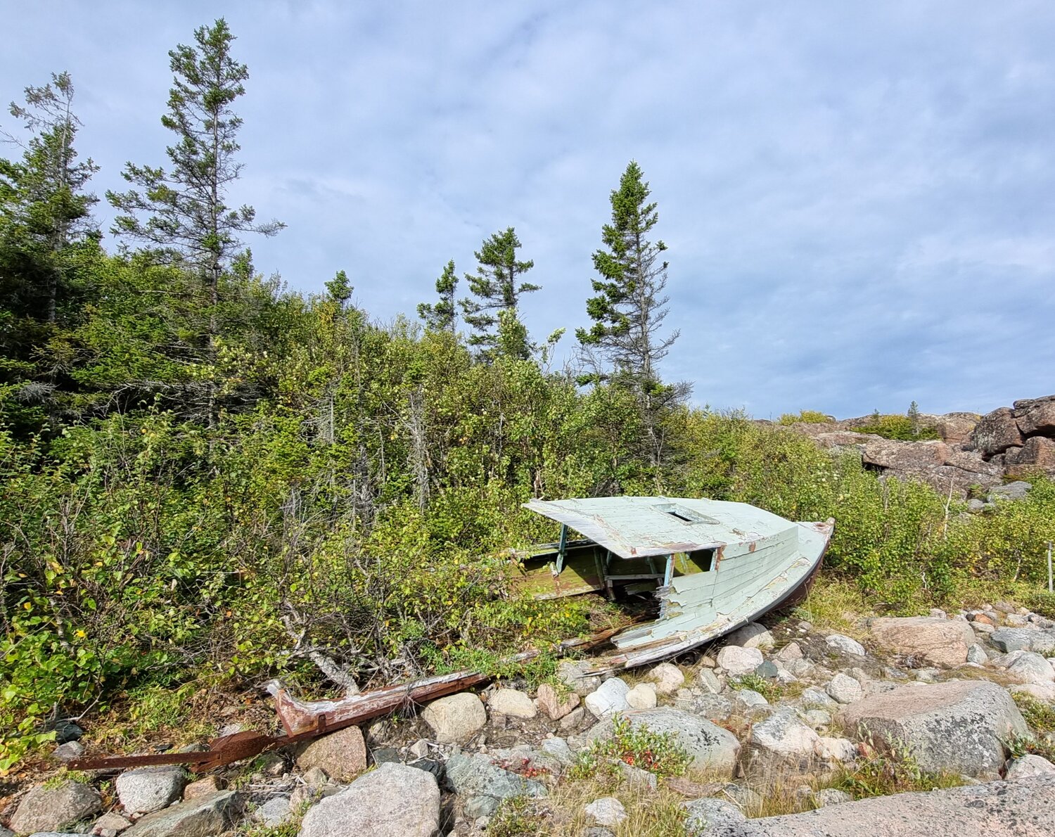 Photo #14102679