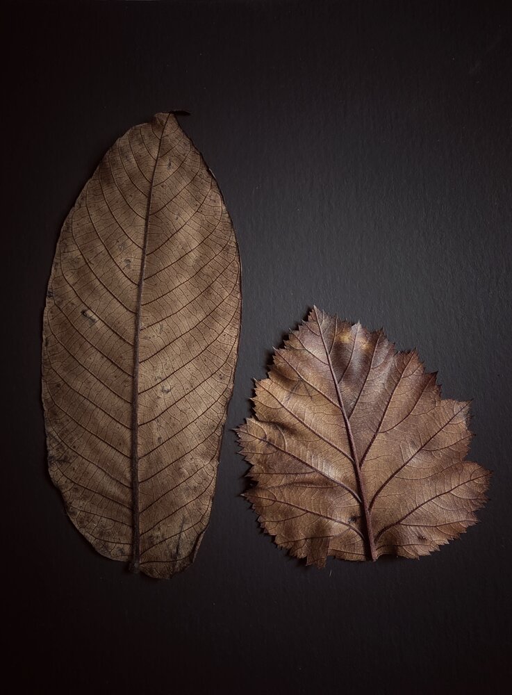 Photograph by Наталья Трофимова