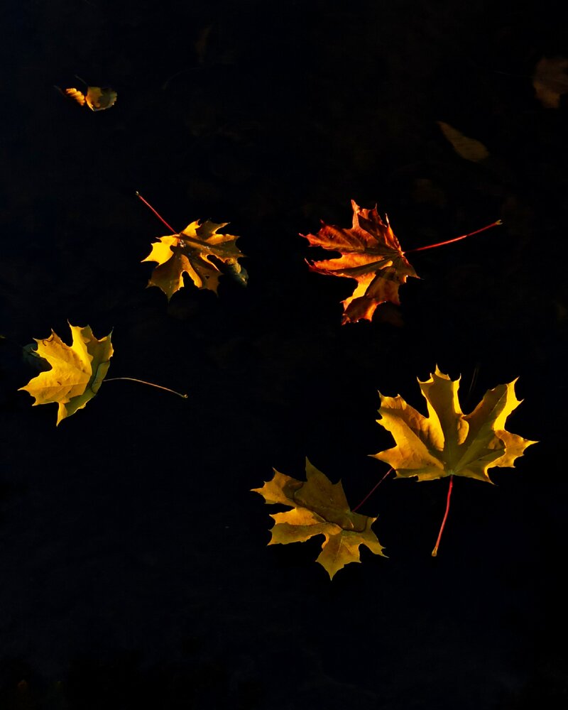 Photograph by Анна Власова