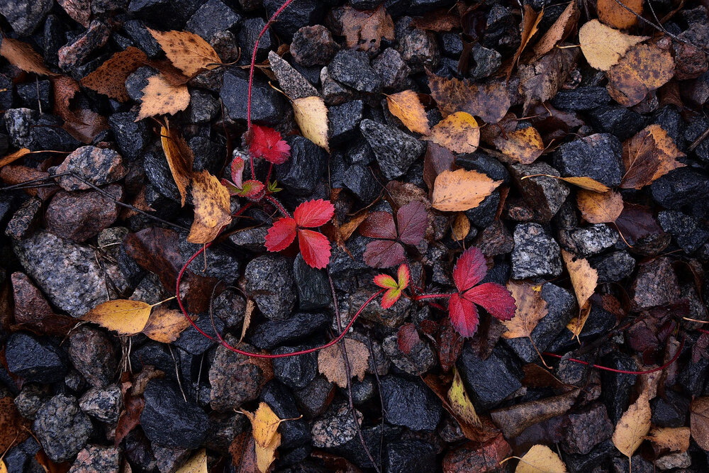 Photograph by Юлия Абрамова